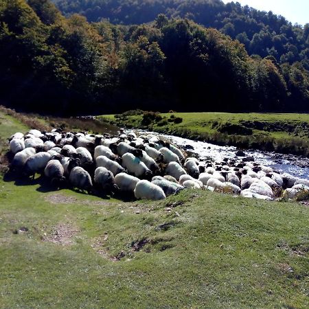 Gite Etxe Xuri Ossès Kültér fotó