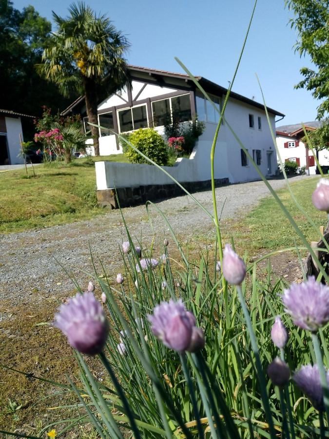 Gite Etxe Xuri Ossès Kültér fotó